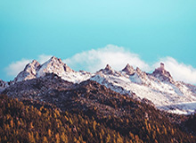 世界杯-点球罚丢后补射得分，马夏尔打破超一年的进球荒