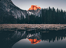 世界杯-点球罚丢后补射得分，马夏尔打破超一年的进球荒