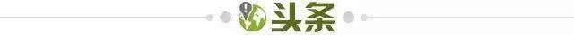 世界杯-【早报】“桃园德比”悬念留在次回合